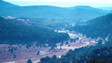 Yeşil dağ manzarası, Burgos İspanya 'daki tepe arazisi.