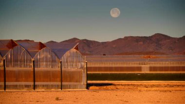 İspanya kıyı manzarası, gökyüzünde ay ve sabah ışığında büyük ticari cam seralar. Endüstriyel tarım. Murcia bölgesi, İspanya.