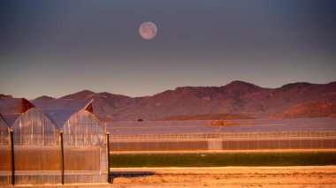 İspanya kıyı manzarası, gökyüzünde ay ve sabah ışığında büyük ticari cam seralar. Endüstriyel tarım. Murcia bölgesi, İspanya.