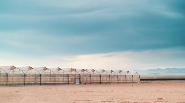 Büyük ticari cam seraları olan İspanyol sahili manzarası. Endüstriyel tarım. Murcia bölgesi, İspanya.