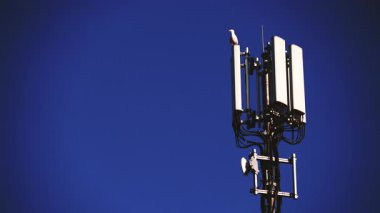 Telekomünikasyon kulesinde oturan kuş martı 4G veya 5G hücresel ağ anteniyle. Yeni mobil yayın teknolojisi üretimi.
