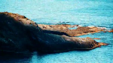 Deniz manzarası. Kaya oluşumları olan İspanyol deniz kıyıları. Mavi sakin su. Almerya İspanya 'da Akdeniz kıyıları.