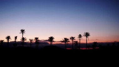 Sierra Alhamilla Dağları 'ndaki palmiye ağaçlarıyla kaplı manzara, İspanya. Sabahın ilk ışıklarıyla. Zaman aşımı