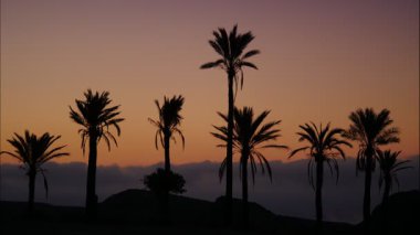 Sierra Alhamilla Dağları 'ndaki palmiye ağaçlarıyla kaplı manzara, İspanya. Sabahın ilk ışıklarıyla. Zaman aşımı