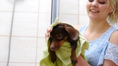 Küçük köpeğiyle ilgilenen, banyo yaptıktan sonra havlu kullanan bir kadın..