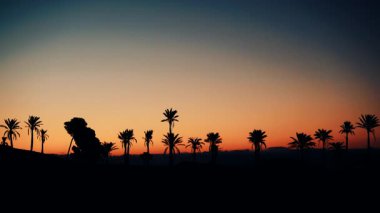 Sierra Alhamilla Dağları 'ndaki palmiye ağaçlarıyla kaplı manzara, İspanya. Sabahın ilk ışıklarıyla. Zaman aşımı