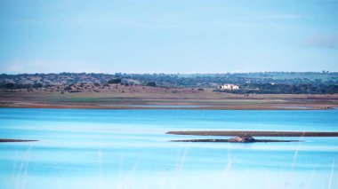 Iuz köyündeki Alqueva Barajı yapay gölü, Alentejo turizm bölgesi, Evora bölgesi, Portekiz Avrupa.