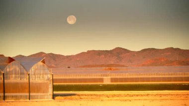 İspanya kıyı manzarası, gökyüzünde ay ve sabah ışığında büyük ticari cam seralar. Endüstriyel tarım. Murcia bölgesi, İspanya.