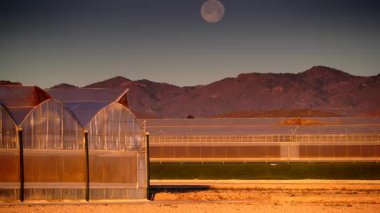 İspanya kıyı manzarası, gökyüzünde ay ve sabah ışığında büyük ticari cam seralar. Endüstriyel tarım. Murcia bölgesi, İspanya.