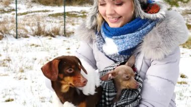 Genç kadın köpekleriyle oynuyor, pinscher ratter prazsky krysarik ve dachshund, kış havasında açık havada..