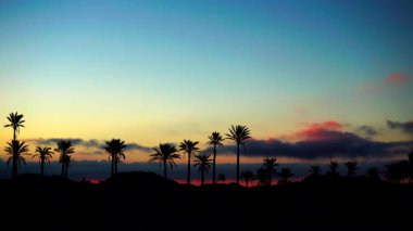 Sierra Alhamilla Dağları 'ndaki palmiye ağaçlarıyla kaplı manzara, İspanya. Sabahın ilk ışıklarıyla. Zaman aşımı