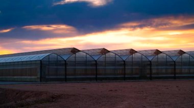 Akşamları, ticari seralarla birlikte kıyı manzarası üzerinde hareket eden bulutların hızlanması. Endüstriyel tarım. Murcia bölgesi, İspanya.