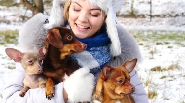 Üç köpeğiyle oynayan genç bir kadın, pinscher ratter prazsky krysarik, dachshund, kış havasında dışarıda..
