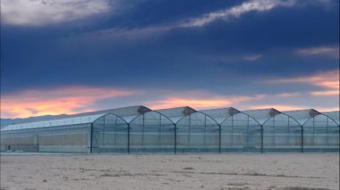 Gün batımında, ticari seralar üzerinde hareket eden bulutların hızlanması. Endüstriyel tarım. Murcia bölgesi, İspanya.