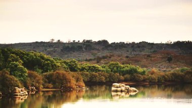 Huzurlu göl manzarası ve kıyıda ağaçlar. Manzara povoa e meadas dam, doğal rezerv Castelo de vide, alentejo Portekiz.
