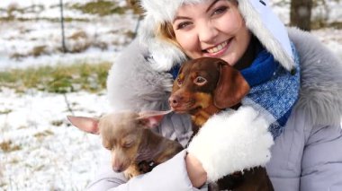 Genç kadın köpekleriyle oynuyor, pinscher ratter prazsky krysarik ve dachshund, kış havasında açık havada..