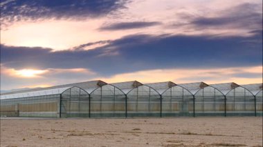 Gün batımında, ticari seralar üzerinde hareket eden bulutların hızlanması. Endüstriyel tarım. Murcia bölgesi, İspanya.