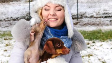 Genç kadın köpekleriyle oynuyor, pinscher ratter prazsky krysarik ve dachshund, kış havasında açık havada..