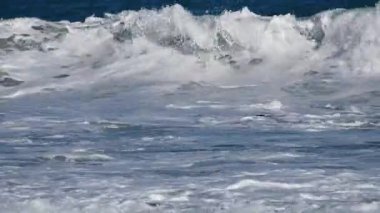 Deniz dalgalarıyla kıyıya vuran