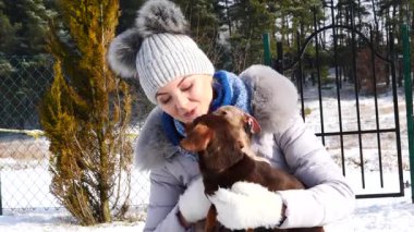 Genç kadın köpekleriyle oynuyor, pinscher ratter prazsky krysarik ve dachshund, kış havasında açık havada..