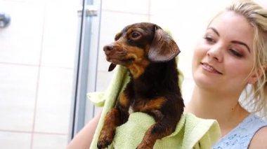Küçük köpeğiyle ilgilenen, banyo yaptıktan sonra havlu kullanan bir kadın..