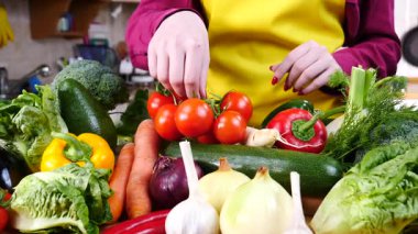 Diğer sebzelerin önünde bitkinin üzerinde kiraz domateslerini gösteren tanınmamış bir kadın eli. Sağlıklı yeme kavramı.