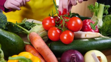 Diğer sebzelerin önünde bitkinin üzerinde kiraz domateslerini gösteren tanınmamış bir kadın eli. Sağlıklı yeme kavramı.