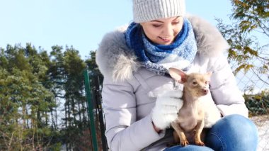 Genç bir kadın köpeğiyle oynuyor, pinscher ratter prazsky krysarik, kış havasında açık havada..