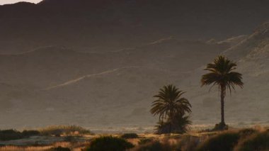 Palmiye ağaçları arka planda. İspanya doğa manzarası, Murcia 'daki Calblanque doğal parkı..