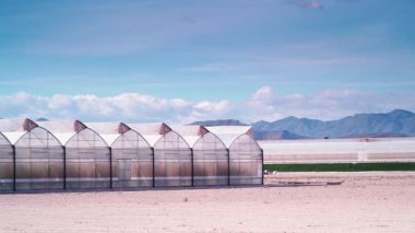 Büyük ticari cam seraları olan İspanyol sahili manzarası. Endüstriyel tarım. Murcia bölgesi, İspanya. Dolly vurdu.