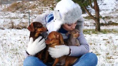 Üç köpeğiyle oynayan genç bir kadın, pinscher ratter prazsky krysarik, dachshund, kış havasında dışarıda..