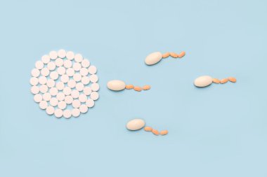 Hamilelik kavramı, yumurtanın döllenmesi. Suni döllenme. Döllenme.