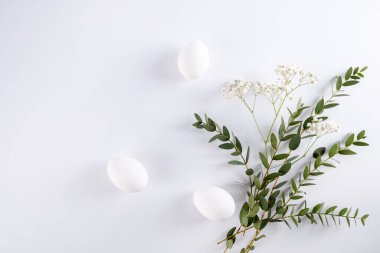 Beyaz arkaplanda çiçekler, okaliptüs dalları ve yumurtalardan oluşan paskalya kompozisyonu. Yaratıcı asgari tatil kavramı.