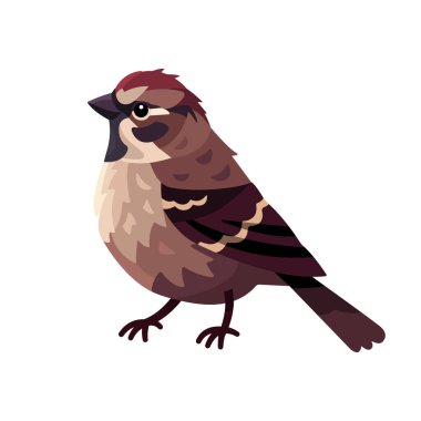 Sparrow vector flat illustration isolated on white background. bird cartoon character