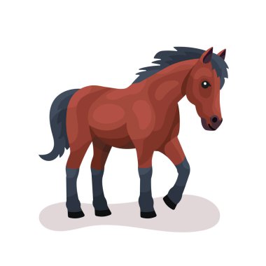 Cute horse vector flat illustration isolated on white background. Farm animal happy horse cartoon character. Colorful farm animal horse character.