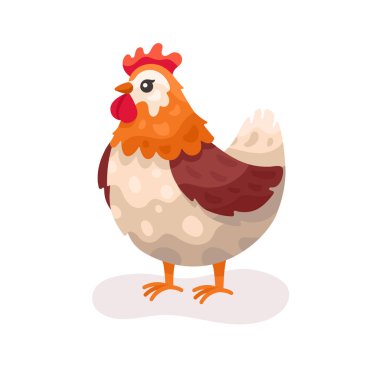Beyaz arka planda izole edilmiş Şirin Tavuk vektör düz çizimi. Çiftlik hayvanı mutlu tavuk çizgi film karakteri. Renkli çiftlik hayvanı tavuk karakteri.