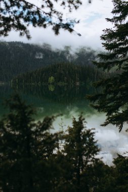 Çam dallarıyla çevrili sakin dağ gölü. Güneş ışığı sakin suları yansıtırken, arka planda uzak tepelerle bir orman yükseliyor.