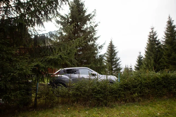 Автівка Між Горами Лісом — стокове фото
