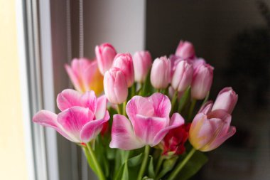 bahar çiçekleri Pembe Laleler