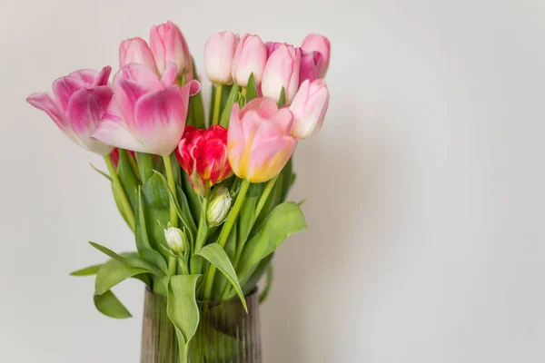 Весняні Квіти Рожеві Тюльпани Ліцензійні Стокові Фото