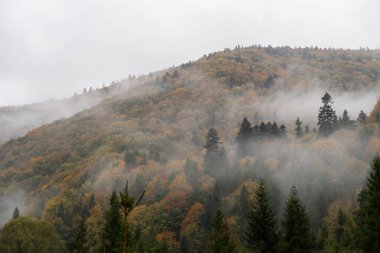 Sisteki sonbahar dağlarının manzarası