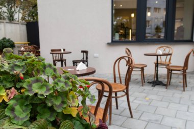 Kafe masaları olan rahat bir avlu