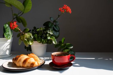 Taze pişmiş kruvasan ve güneş ışığında bir fincan sade kahve.