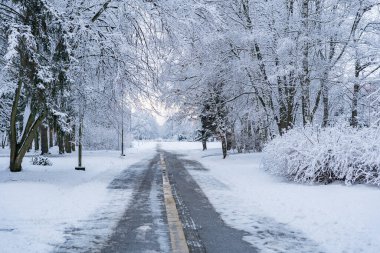 Bir park ya da meydanın kış manzarası. Kar ve buzla kaplı ağaç dalları.