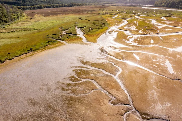 Luftaufnahme Der Salzwiesen Ards Forest Park County Donegal Irland — Stockfoto
