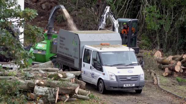Portnoo Cpunty Donegal Irland Październik 2022 Pracownicy Wycinają Rozdrabniają Drzewa — Wideo stockowe