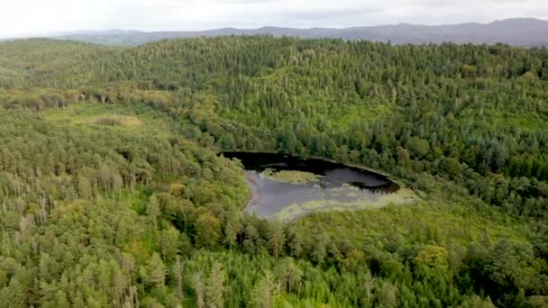 Vista Aérea Lough Lily Ards Forest Park Condado Donegal Irlanda — Vídeos de Stock