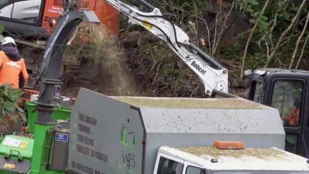 Portnoo Cpunty Donegal Ierland Oktober 2022 Arbeiders Die Bomen Struiken — Stockvideo