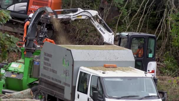 Portnoo Cpunty Donegal Ierland Oktober 2022 Arbeiders Die Bomen Struiken — Stockvideo