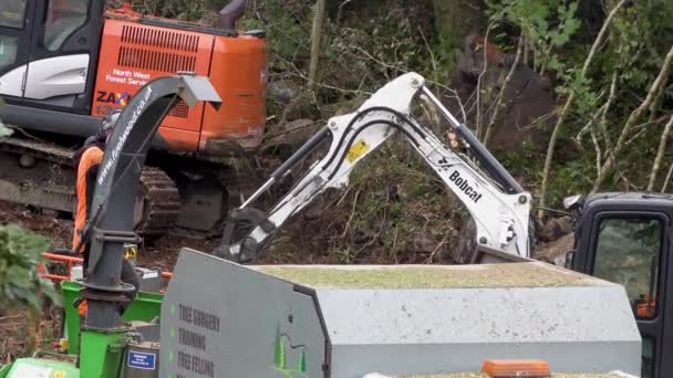 Портно Кунти Донегалия Ирландия Октябрь 2022 Рабочие Вырубают Измельчают Деревья — стоковое видео